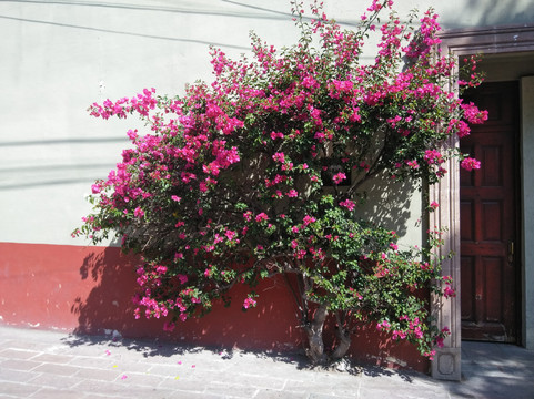 Hotel Tecozautla主图