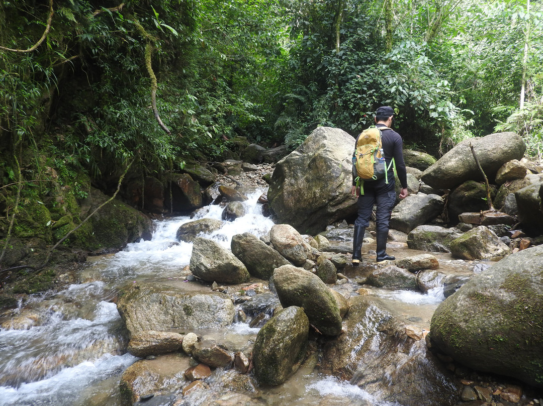 Ruta Natural-麦德林必去景点