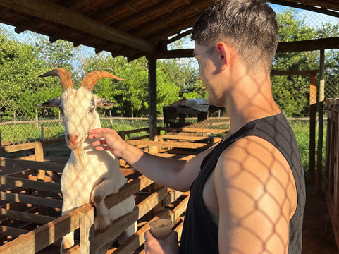 Bio Park-博尼图必去景点