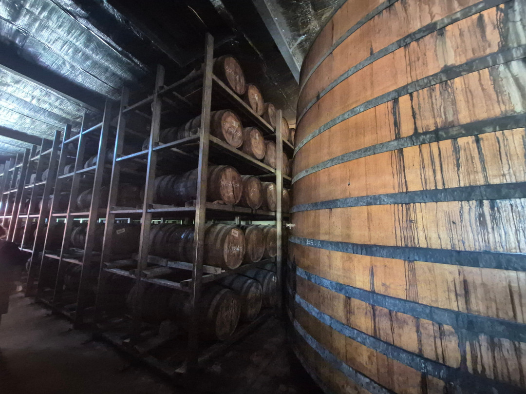 Distillerie Damoiseau-Le Moule必去景点