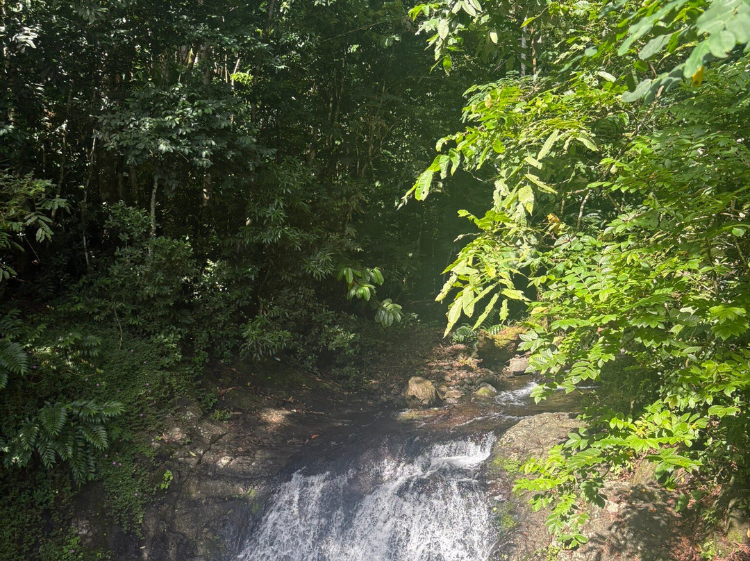 Papaseea Sliding Rock-阿皮亚必去景点