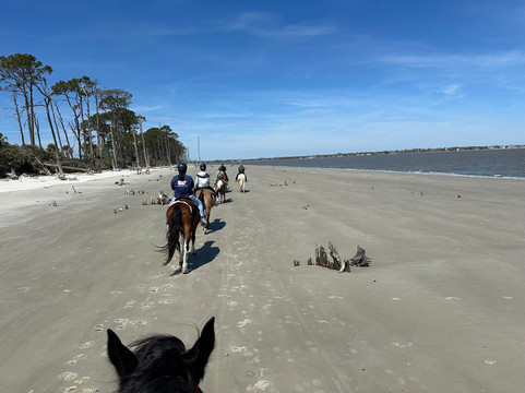 Driftwood Beach-吉柯岛必去景点