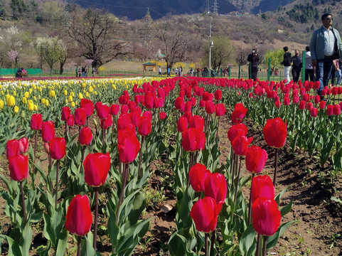 Ganesham Tour - Private Day Tour-斋蒲尔必去景点