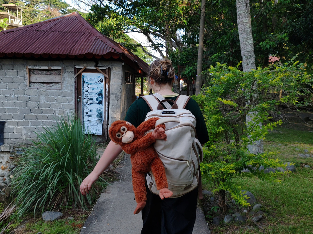 Bukit Lawang Jungle Trekking-武吉拉旺必去景点