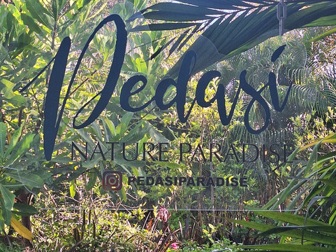 Retire in Panama Tours | Move to Panama | Panama Relocation Experts-波魁特必去景点