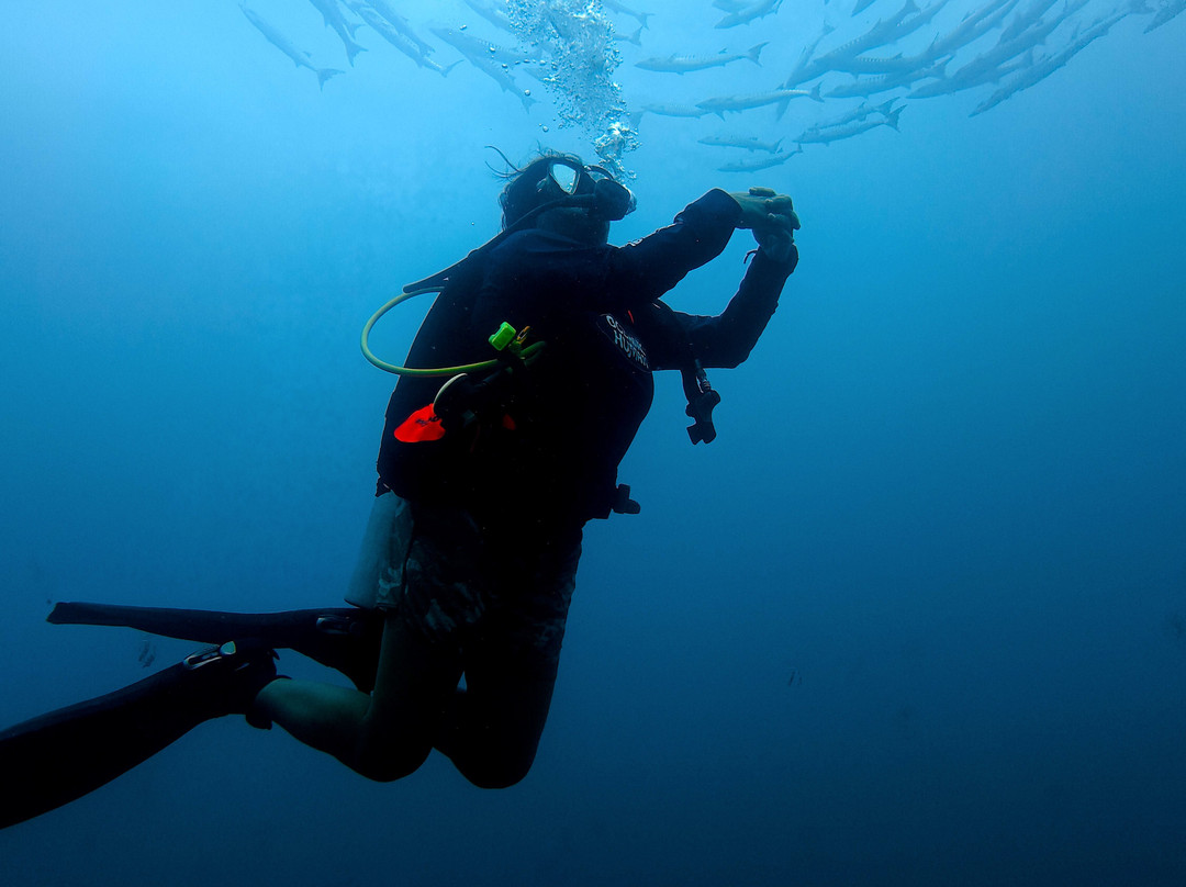 Gypsy Divers Dive Resort-哈夫洛克岛必去景点
