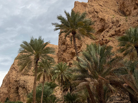 Wadi Tiwi Mibam Adventure-提维必去景点