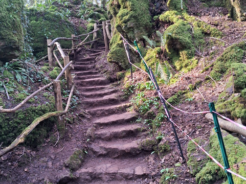 Puzzlewood-Coleford必去景点