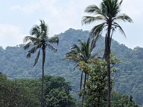 Off 2 Sri Lanka Private Tours-Piliyandala必去景点