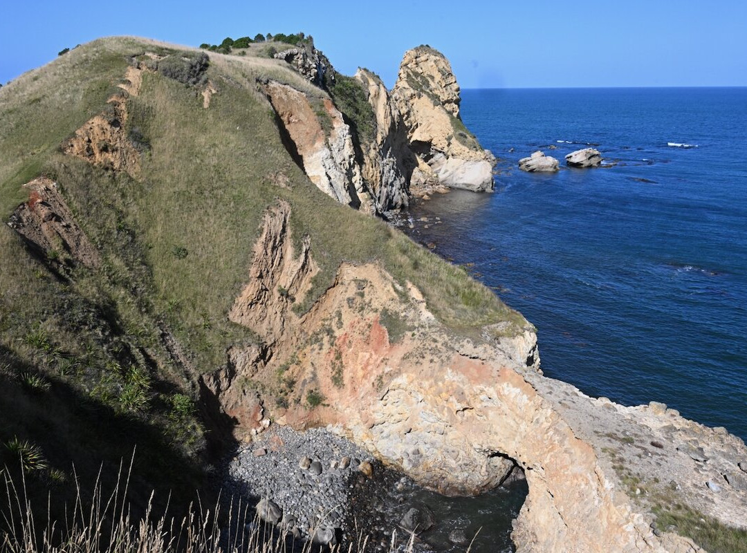 Huriawa Pa Walk-Waikouaiti必去景点