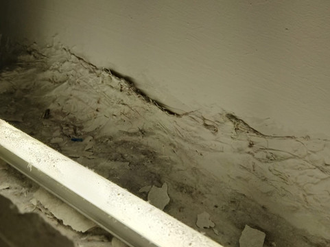 拉斐尔酒店主图