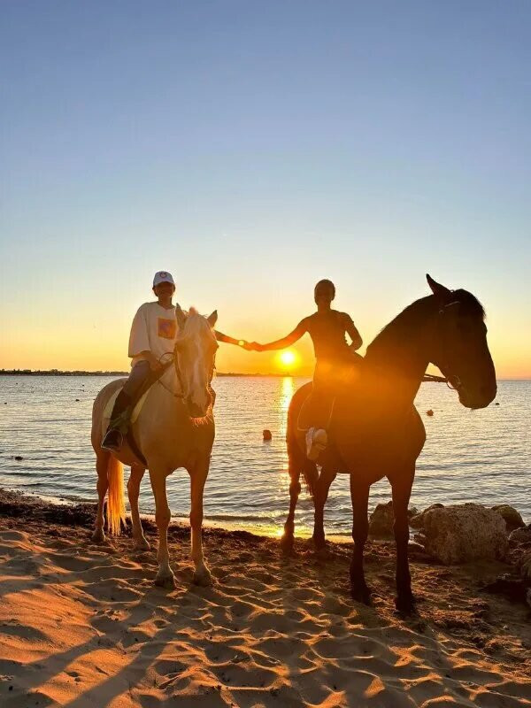 Horse hurghada-赫尔格达必去景点
