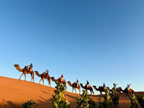 Morocco Best Experience-卡萨布兰卡必去景点