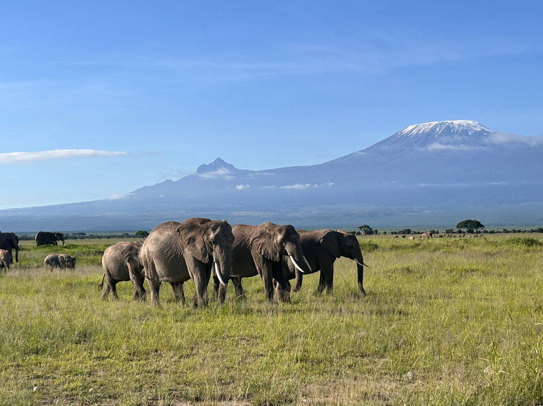 Focus East Africa Tours Ltd-坎帕拉必去景点