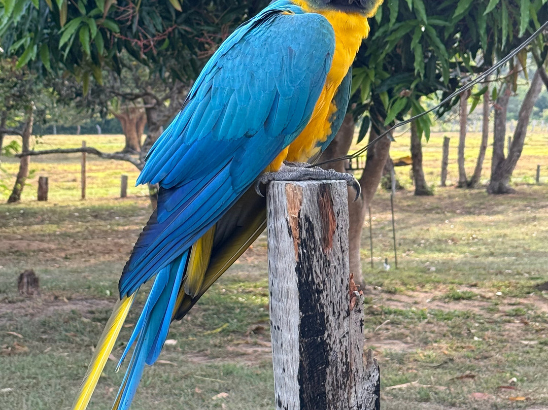 Reserva Natural Hato El Boral-San Luis de Palenque必去景点