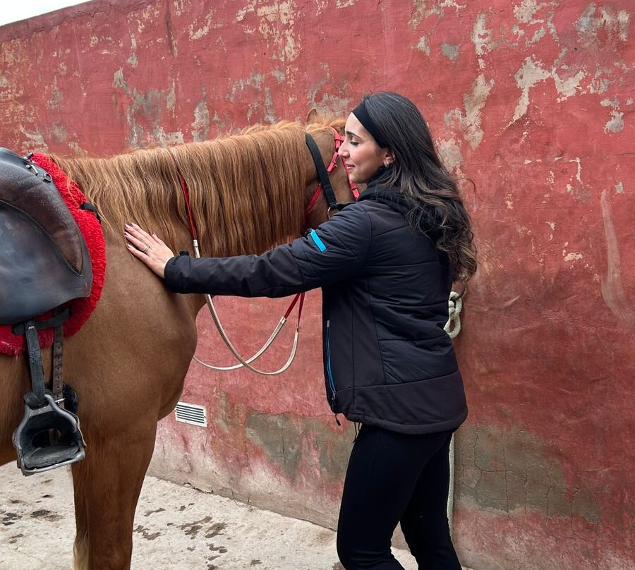 Club Equus Hammamet-哈玛麦德必去景点