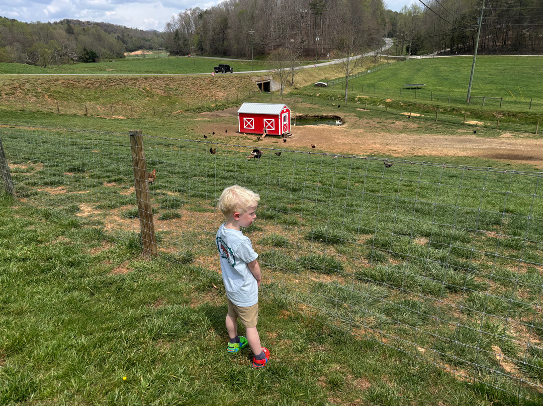 Cress Creeks Farm And Corn Maze-Ellijay必去景点