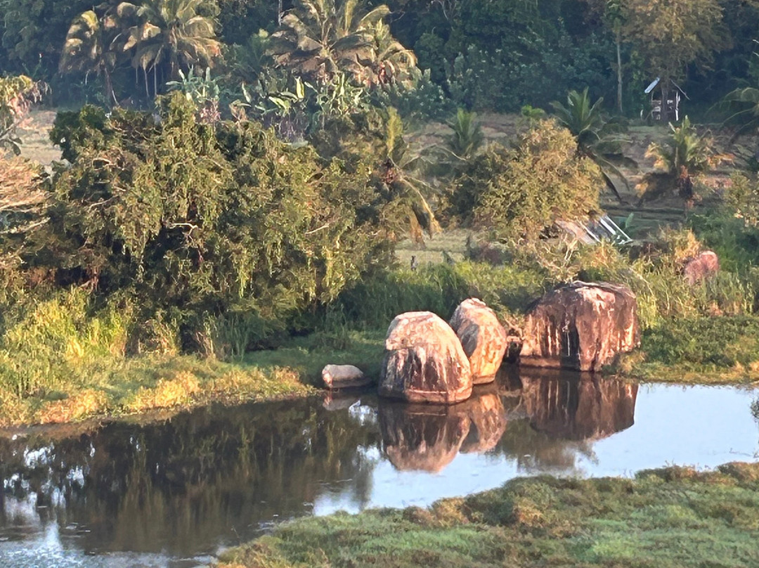 Sun Rise Ballooning-丹布拉必去景点