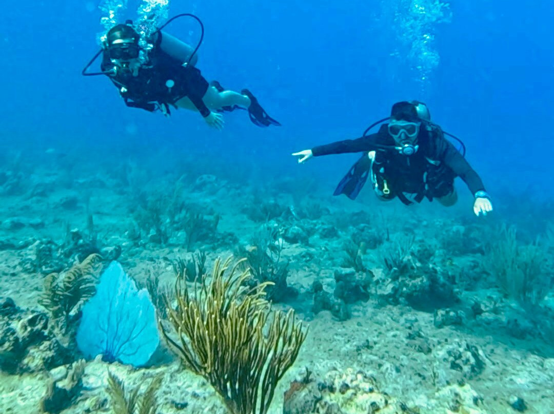 Diving Funs-圣安德烈斯岛必去景点