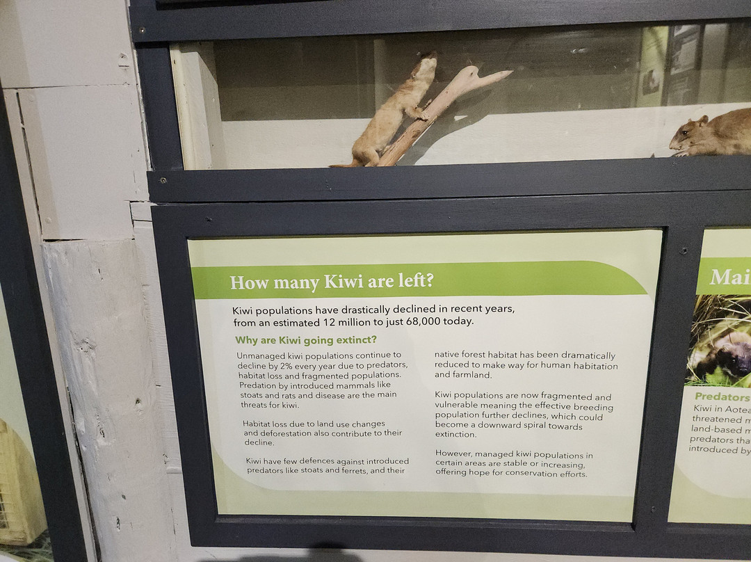 国家奇兽中心-霍基蒂卡必去景点