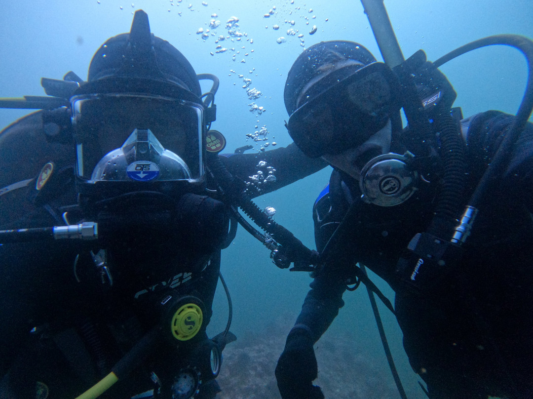 Baja Blue Diver-恩塞纳达必去景点