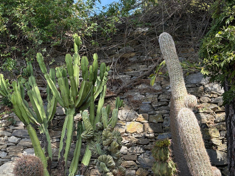 I Giardini Di Villa Della Pergola-阿拉西奥必去景点