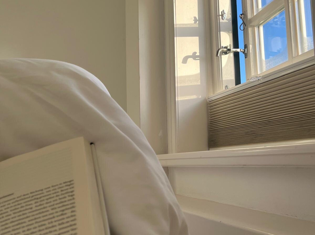 加尼莱克麦斯霍夫酒店主图