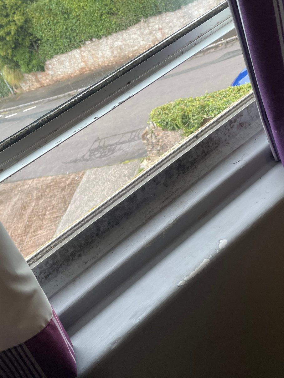 托尔公园酒店-官方