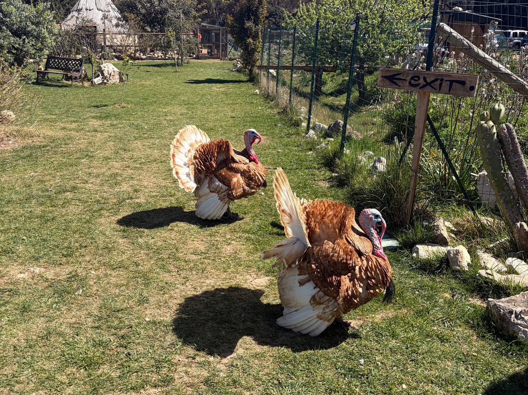 Rifugio Domo Mea-Olmedo必去景点