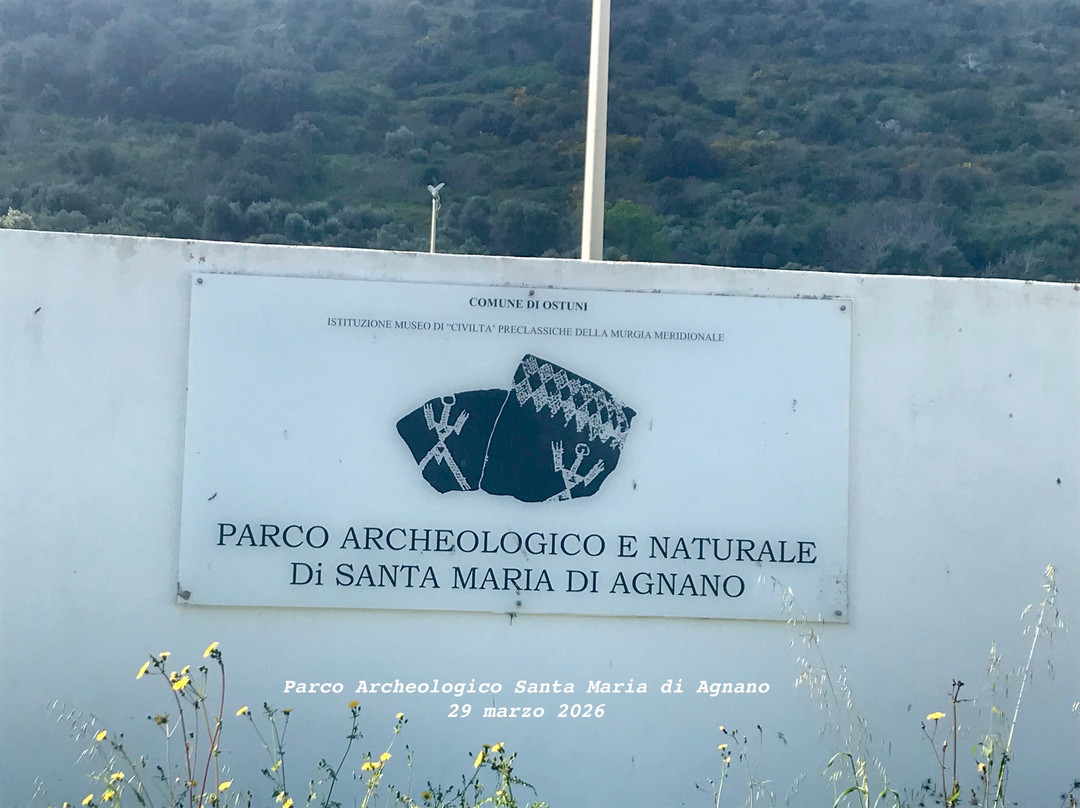 Parco Archeologico e Naturale di Santa Maria d'Agnano-奥斯图尼必去景点