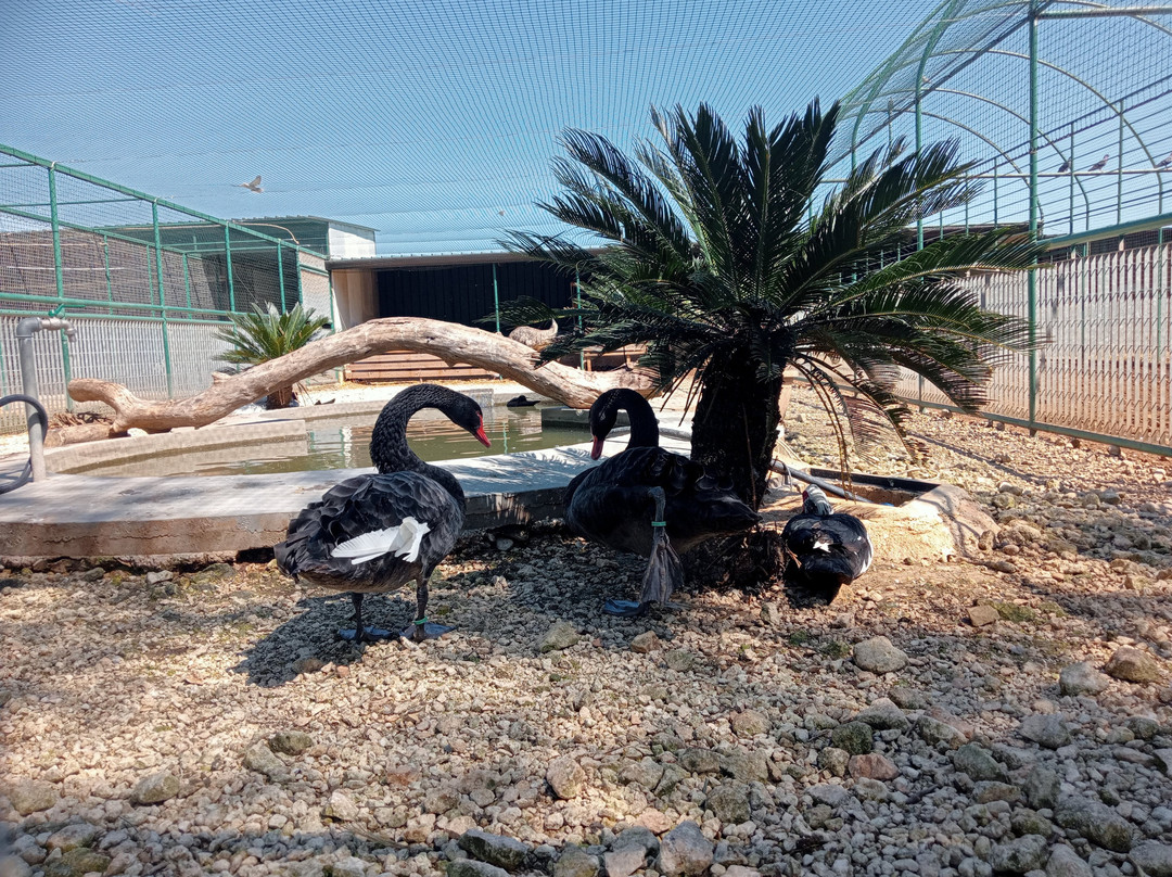 La Fattoria Dei Salari-Floridia必去景点