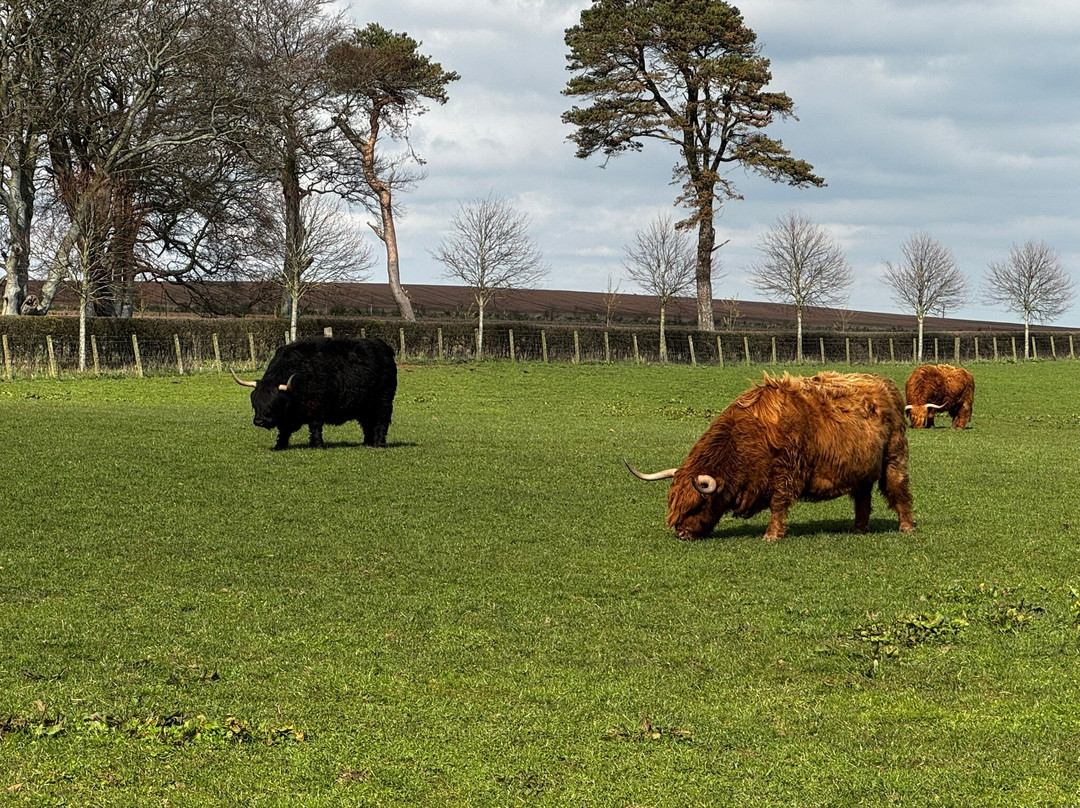 Arbikie Distillery-Montrose必去景点