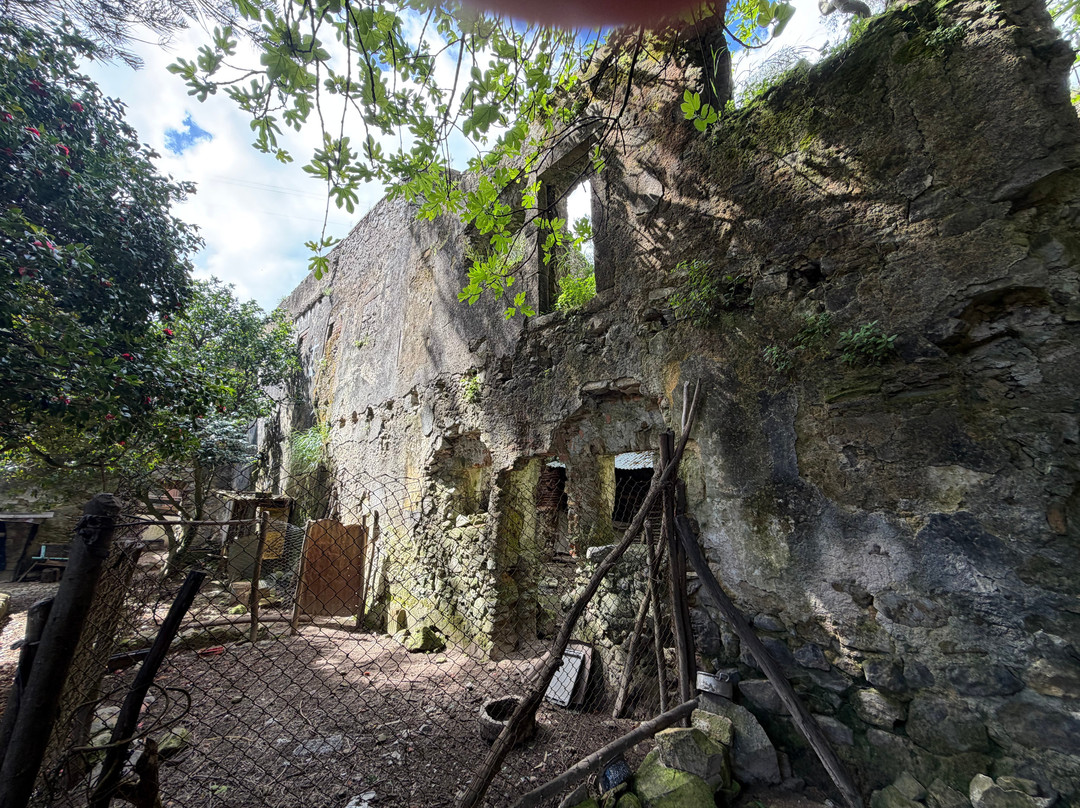 Convento de Nossa Senhora do Desterro-Monchique必去景点