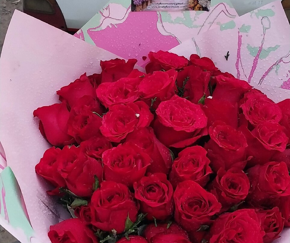 Lovely Flowers OOTY-乌提必去景点