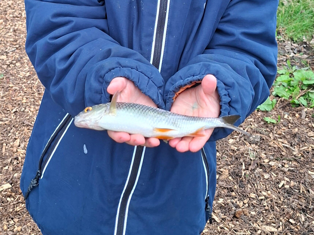 Eisteddfa Fishery-Criccieth必去景点
