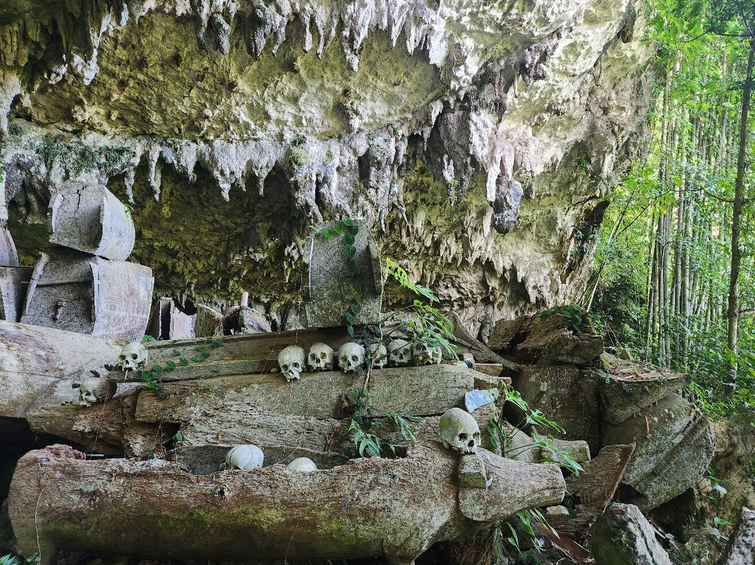 Toraja local guide-Tana Toraja必去景点