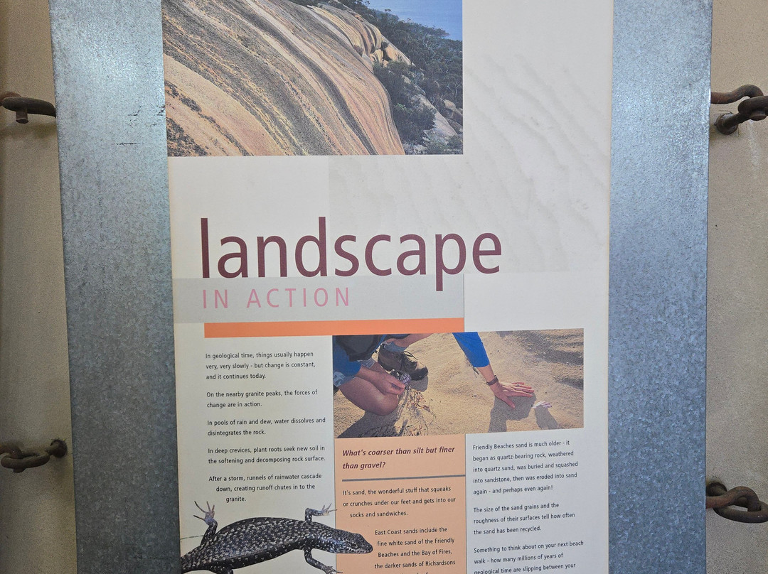 Freycinet National Park-科尔斯湾必去景点