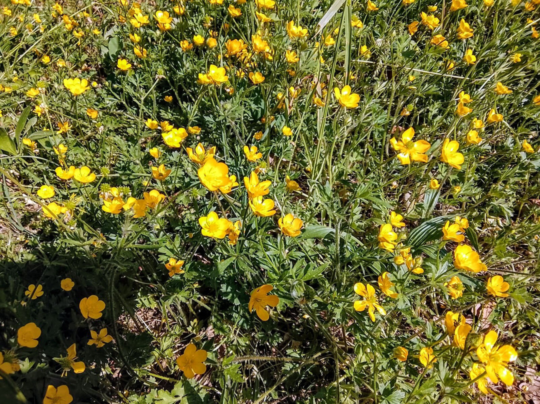 Villaggio Operaio Di Varano Borghi