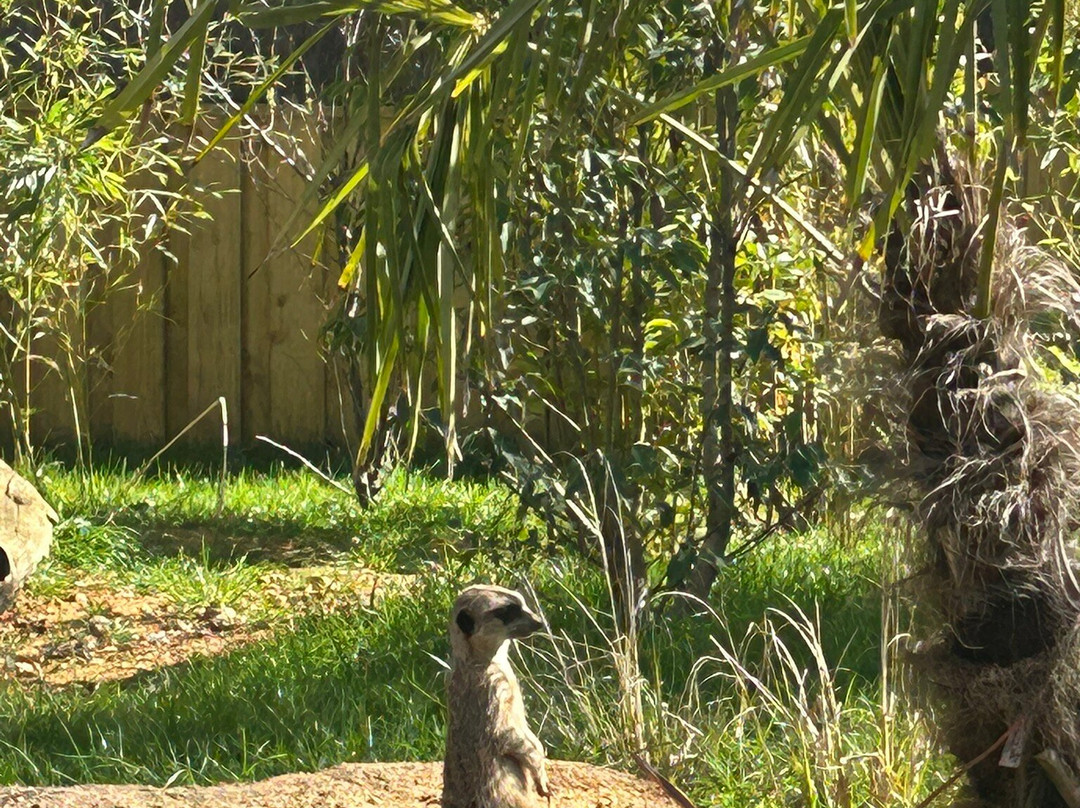 Zoo de La Fleche-La Fleche必去景点