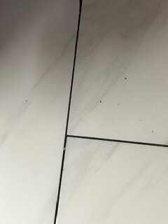 玛丽安娜呗盟酒店主图