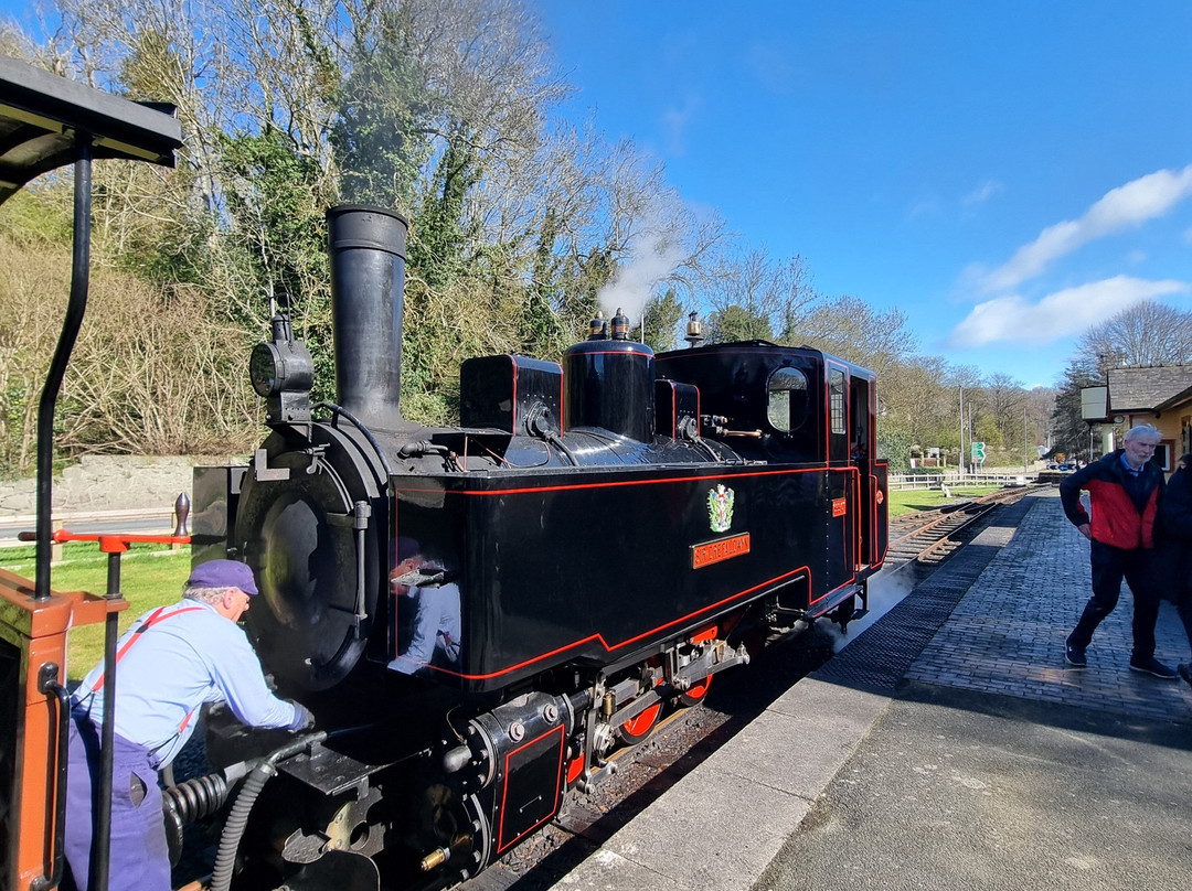 Welshpool and Llanfair Light Railway-Welshpool必去景点