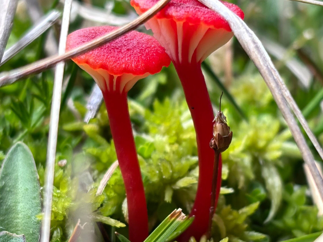 The Old Ghost Road-韦斯特波特必去景点