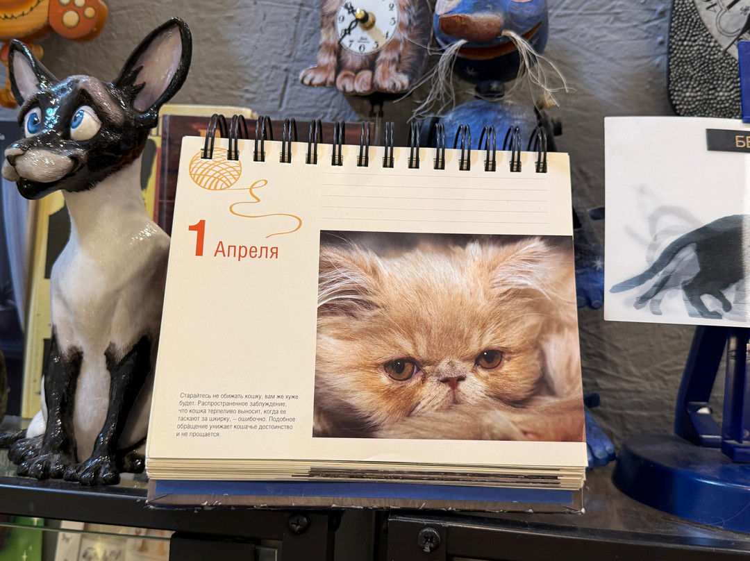 Murarium Art-Collection of Cats-泽列诺格拉茨克必去景点