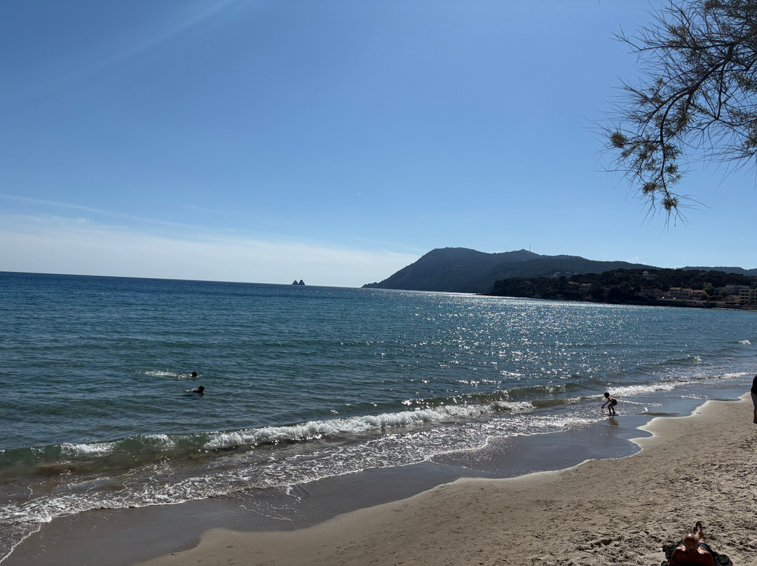 Plage des Sablettes-滨海拉塞纳必去景点