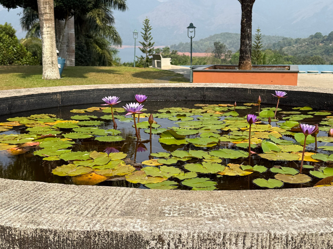 瓦亚纳德阿拉亚尔度假村主图