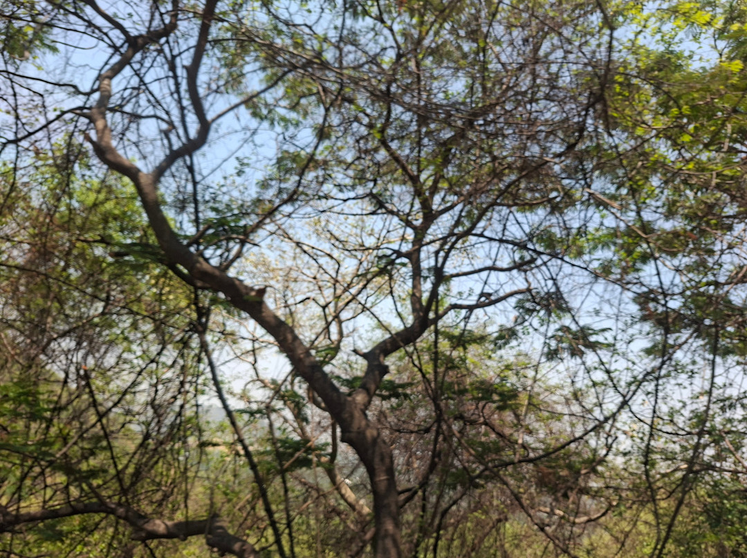 雅靠WOW比松林度假村主图