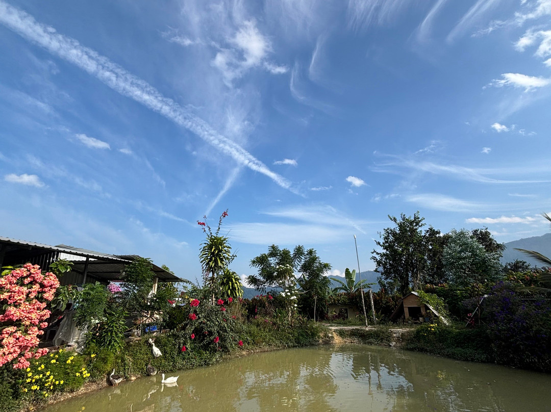 Finca Sanmartin-Pasaje必去景点