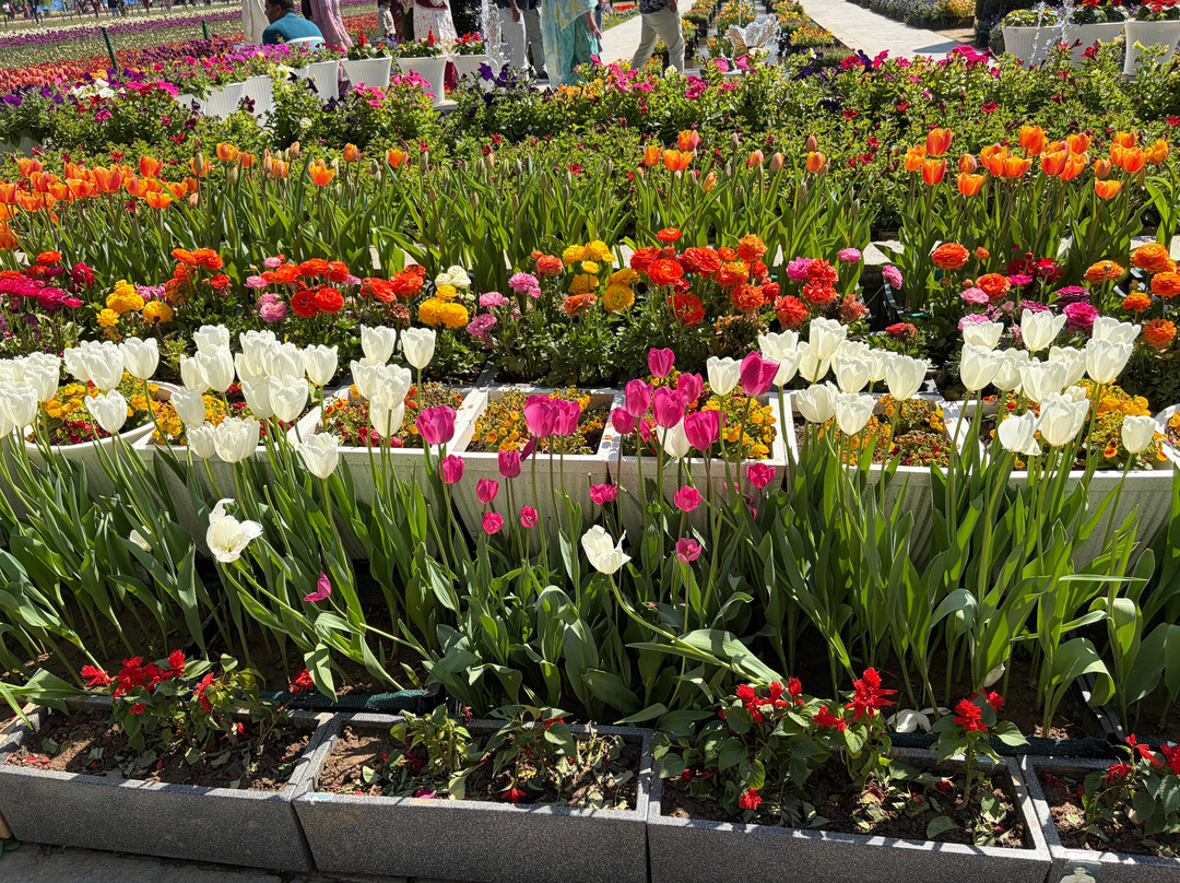 拉利特大皇宫斯里纳格酒店主图