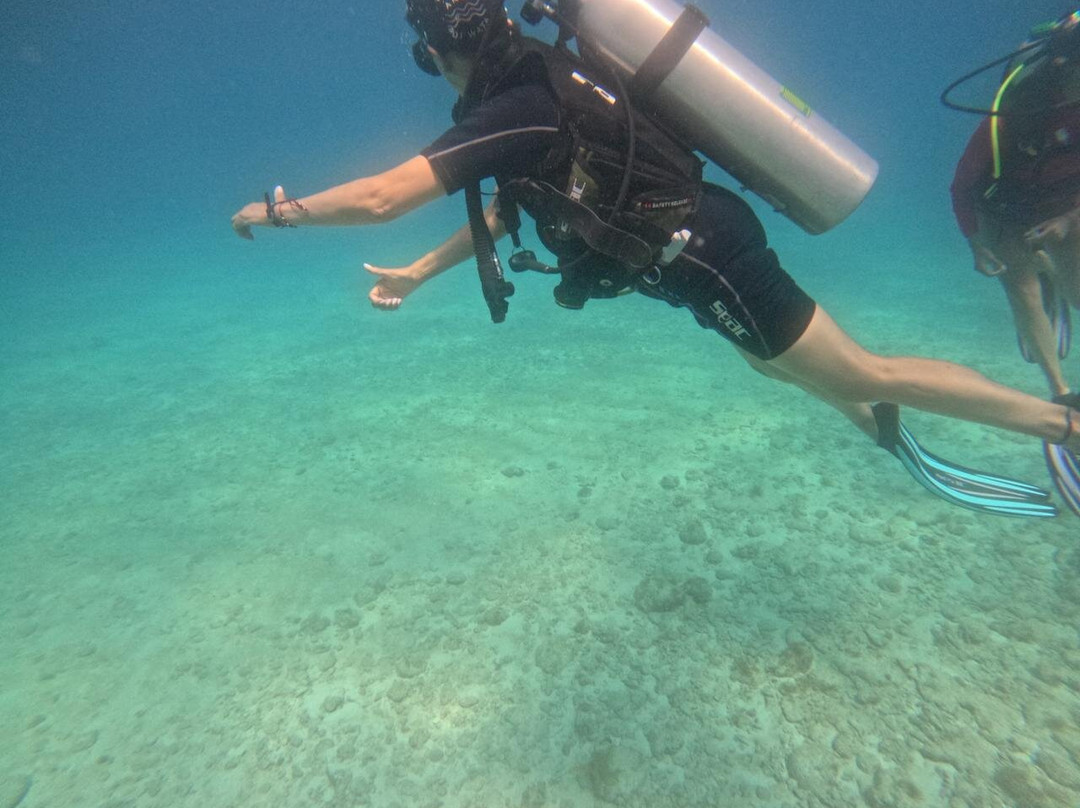 Anda Di Wata Dive School-Providencia Island必去景点