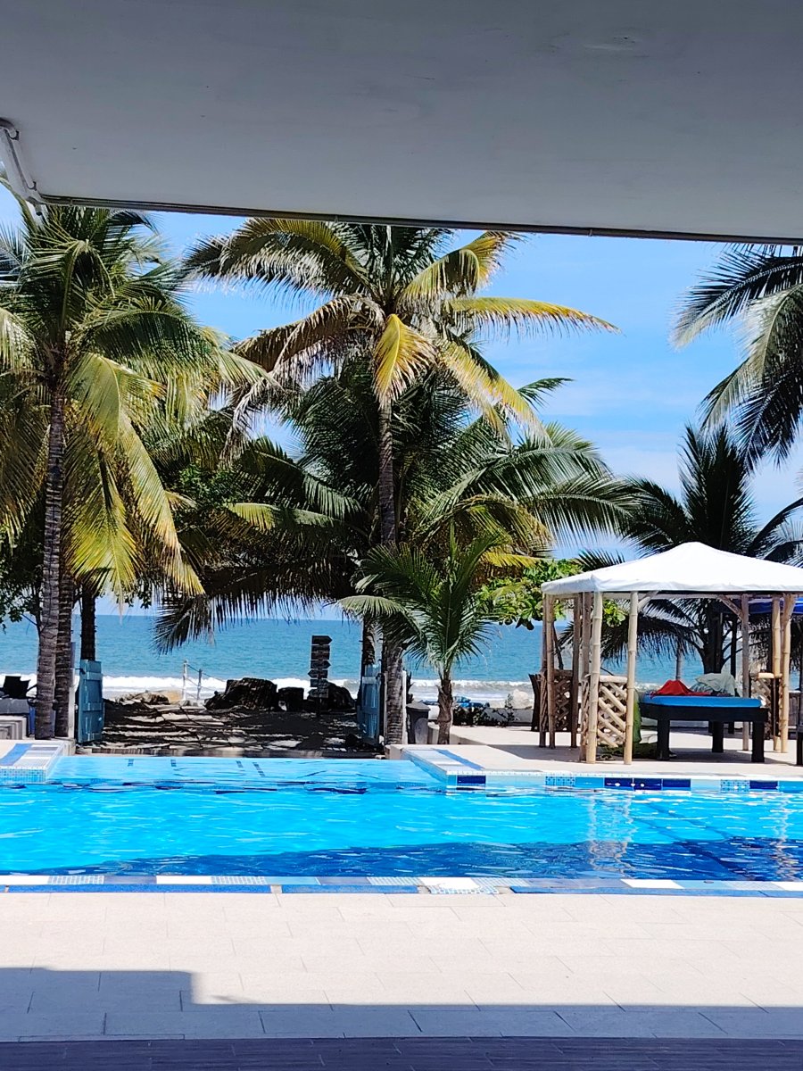 Palmazul Hotel & Spa-旅行者
